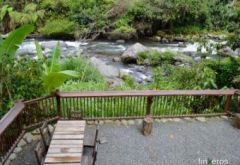 PASA UNA NOCHE INOLVIDABLE CON  TU PAREJA  - Finca en Pereira, Risaralda